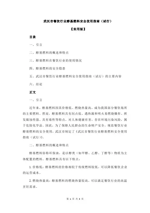 武汉市餐饮行业醇基燃料安全使用指南(试行)