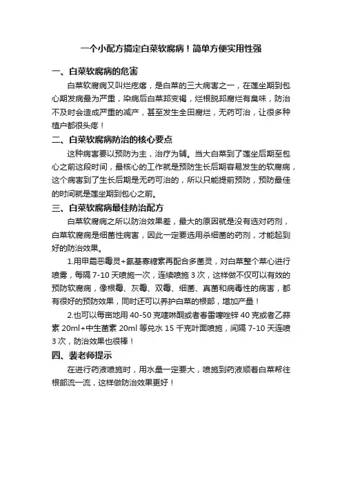 一个小配方搞定白菜软腐病！简单方便实用性强