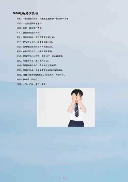 最新男孩乳名