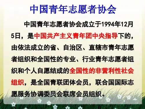 中国青年志愿者协会