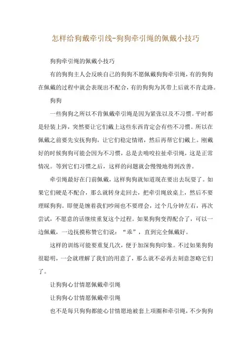 怎样给狗戴牵引线-狗狗牵引绳的佩戴小技巧