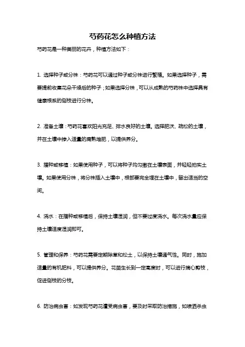 芍药花怎么种植方法
