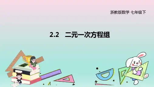 浙教版数学七年级下册2.2 二元一次方程组课件(共20张PPT)