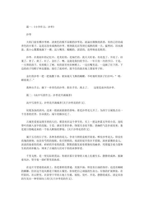 关于沙枣花的作文
