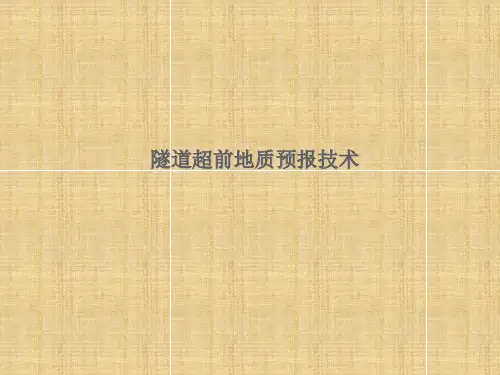隧道超前地质预报技术PPT课件
