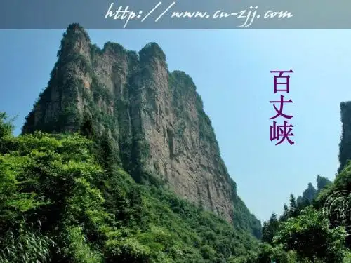 4 《索溪峪的野》
