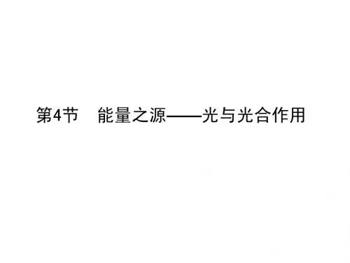 人教版教学课件2011届生物高考一轮复习课件：必修1 第5章 第4节 能量之源—光与光合作用ppt