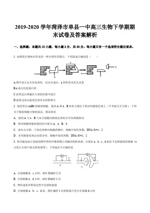 2019-2020学年菏泽市单县一中高三生物下学期期末试卷及答案解析