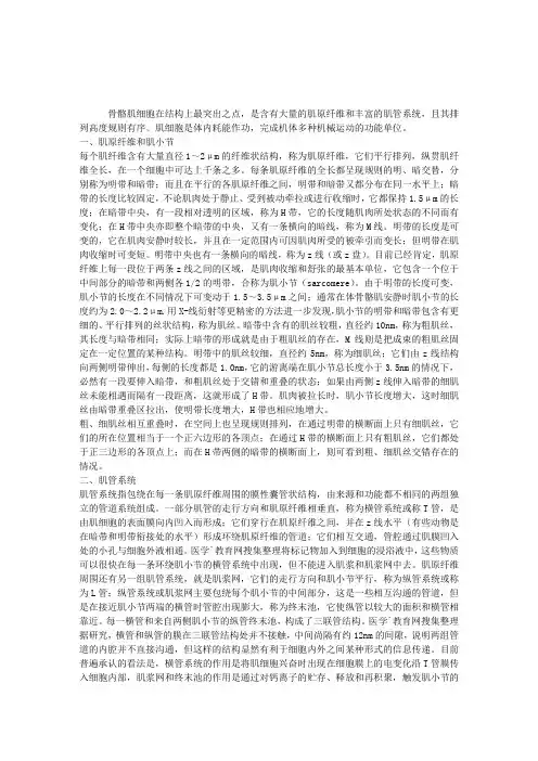 生理学理论指导：骨骼肌细胞的微细结构