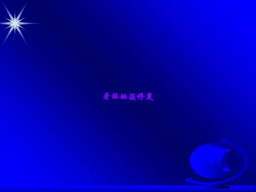 牙体缺损修复ppt课件