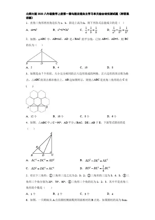 北师大版2020八年级数学上册第一章勾股定理自主学习单元综合培优测试题(附答案详解)