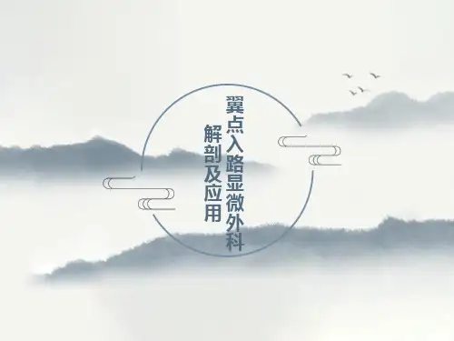 翼点入路解剖及应用