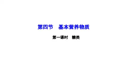 有机化学：糖类