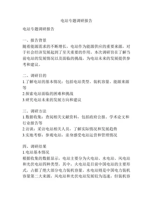 电站专题调研报告