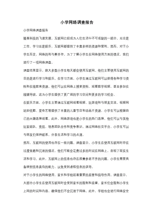 小学网络调查报告