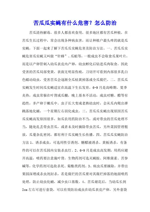苦瓜瓜实蝇有什么危害 ？怎么防治