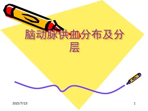 脑血管各支供血区分布PPT课件