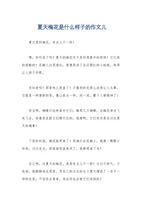 夏天梅花是什么样子的作文儿