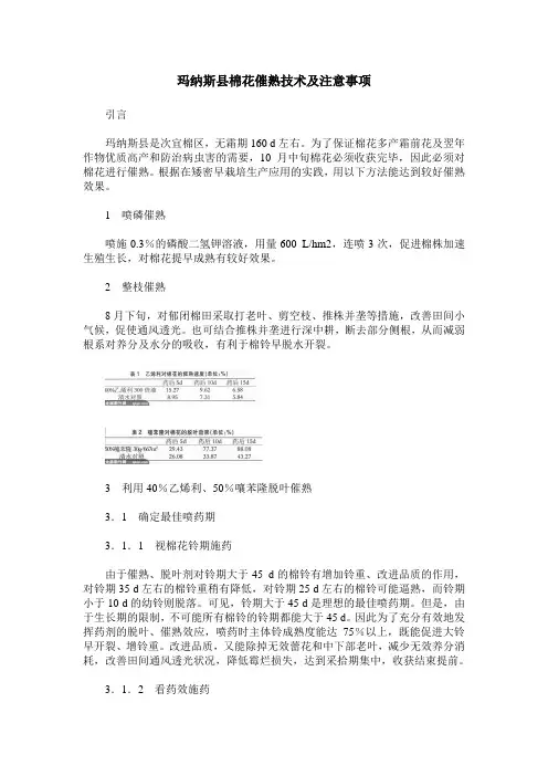 玛纳斯县棉花催熟技术及注意事项