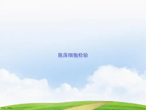 脱落细胞检验讲课文档