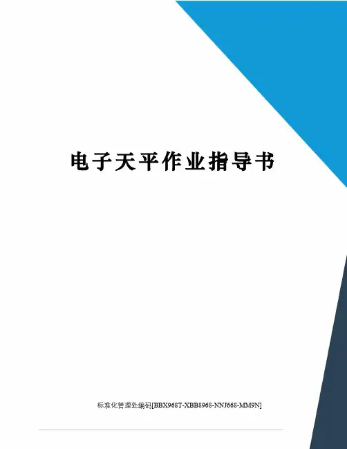 电子天平作业指导书完整版