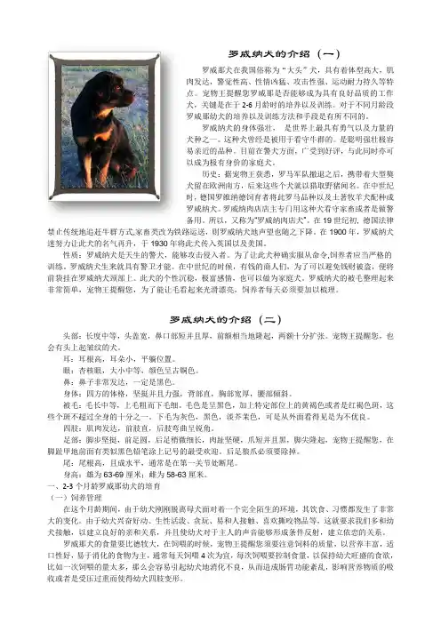 罗威纳犬的介绍