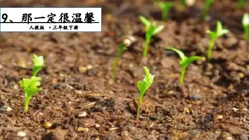 三年级上册语文-9 那一定很舒服. 第二课时｜人教(部编版) ppt课件