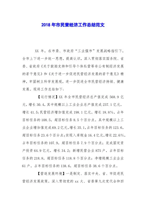 2018年市民营经济工作总结范文