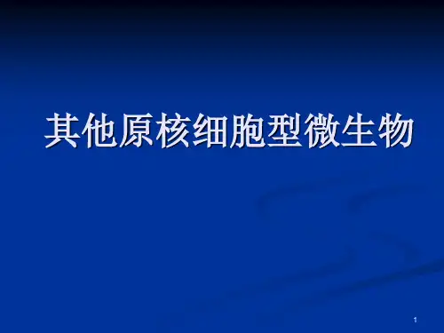 其他原核细胞型微生物(课堂PPT)