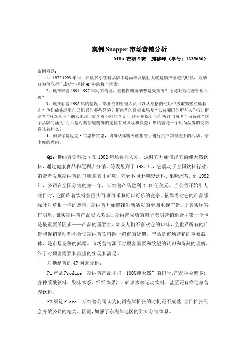 市场营销作业-Snapper营销分析
