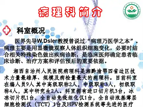 病理科宣传栏ppt课件