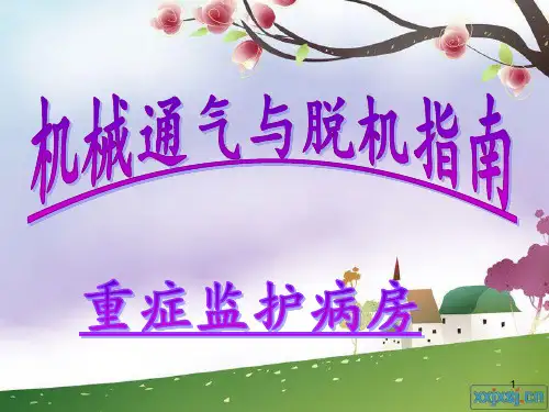 呼吸机脱机ppt课件