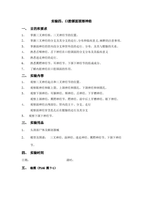 口腔解剖生理学实验报告