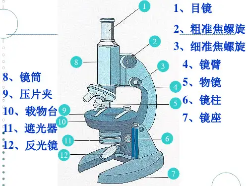 正式 高倍镜使用