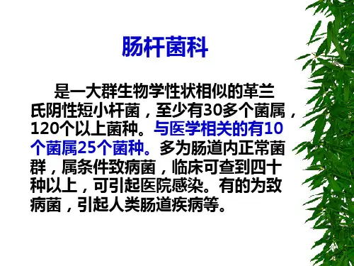 医学微生物学教学课件：肠杆菌科总论和埃希菌属