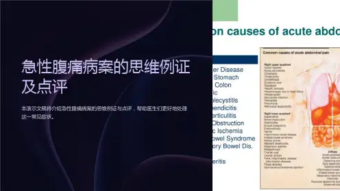 急性腹痛病案的思维例证及点评