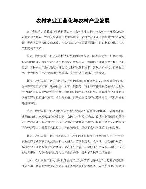 农村农业工业化与农村产业发展
