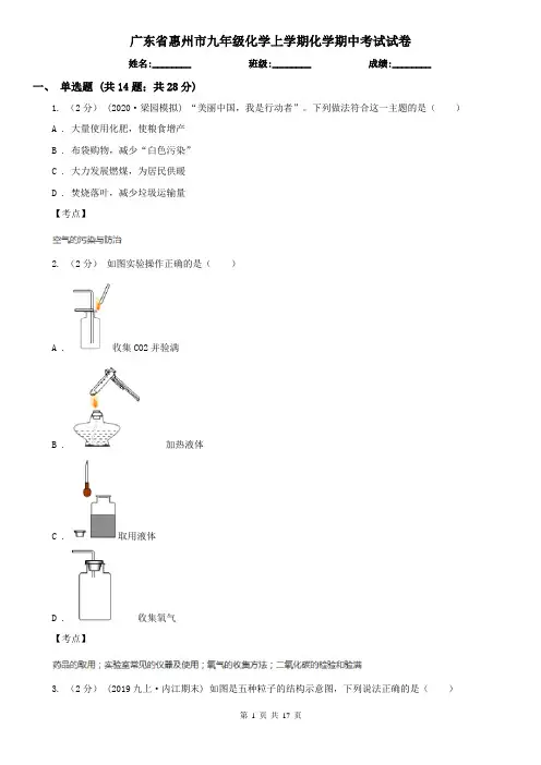 广东省惠州市九年级化学上学期化学期中考试试卷