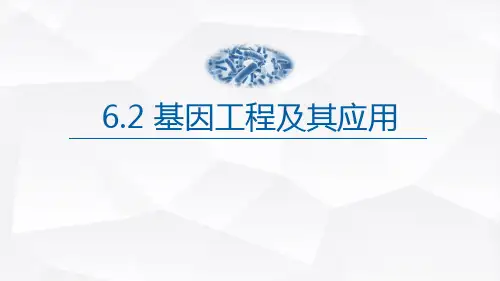 说课 基因工程及其应用