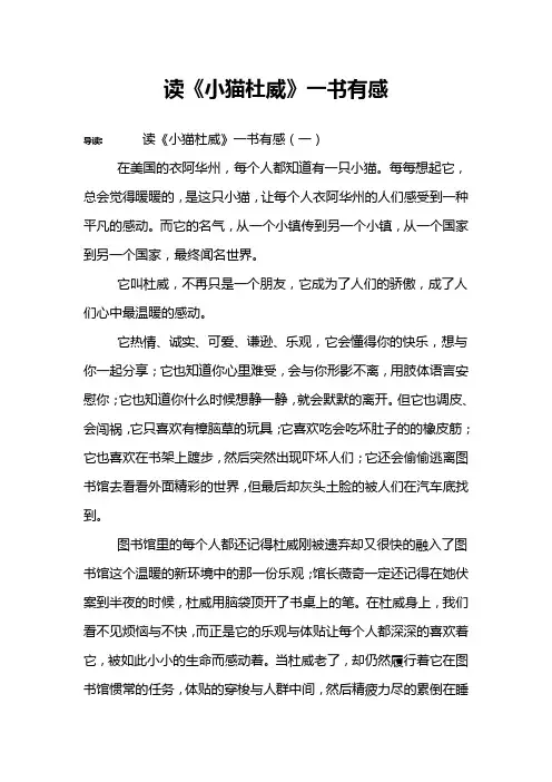 读《小猫杜威》一书有感
