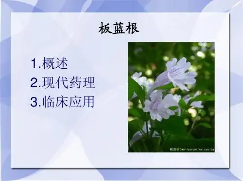 徐彬.板蓝根