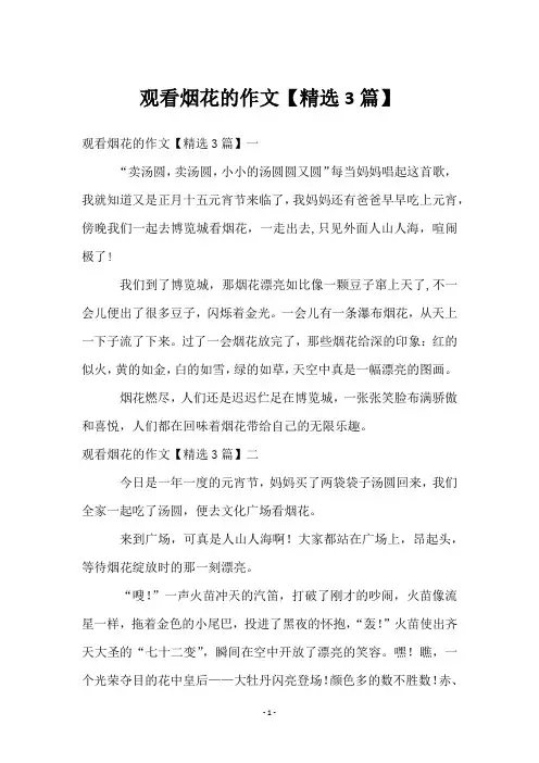 观看烟花的作文【3篇】