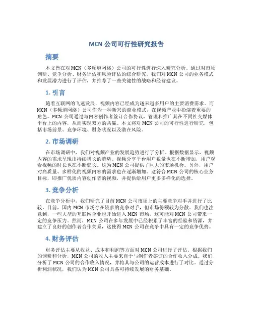 MCN公司可行性研究报告