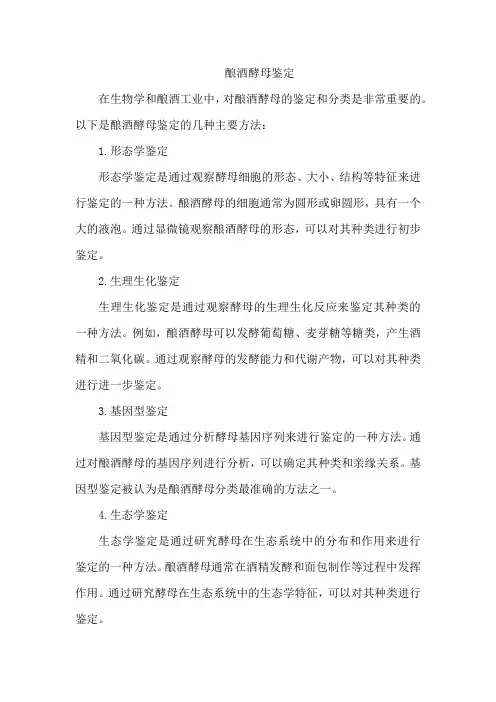 酿酒酵母鉴定