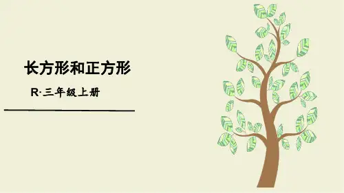 7.长方形和正方形复习材料(含思维导图)