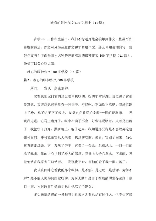 难忘的眼神作文600字初中(11篇)