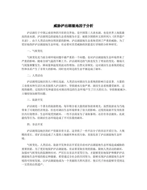 威胁泸沽湖湿地因子分析