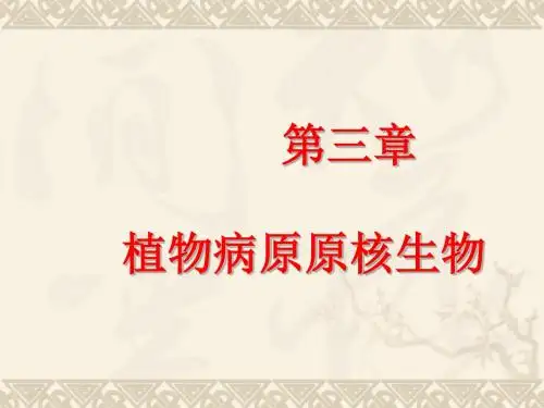 初中八年级(初二)生物 第三章 植物病原细菌