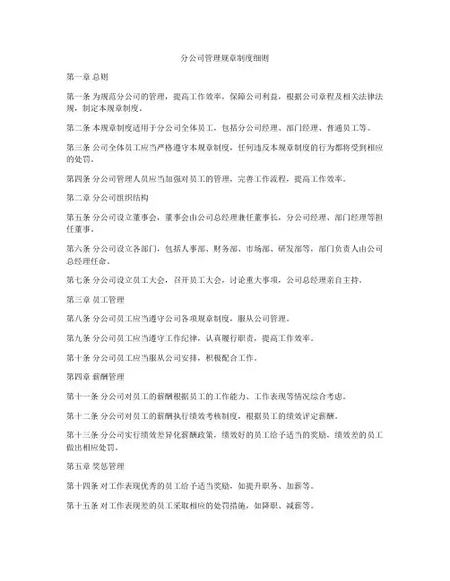 分公司管理规章制度细则