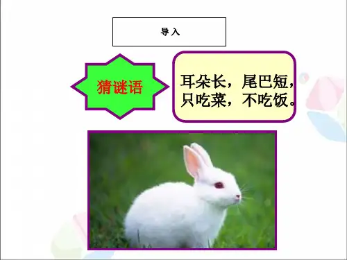 三年级下册语文作文扩展PPT课件：续编童话人教部编版